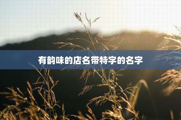 有韵味的店名带特字的名字