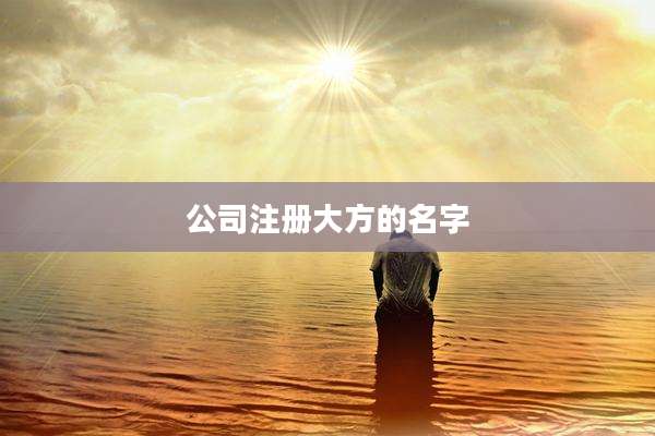 公司注册大方的名字
