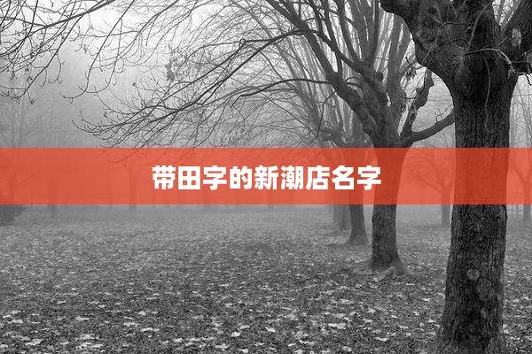 带田字的新潮店名字