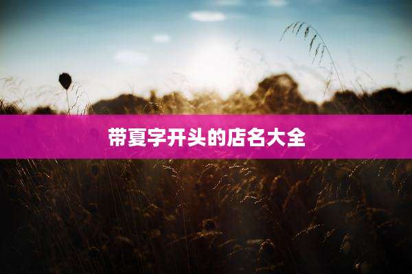 带夏字开头的店名大全