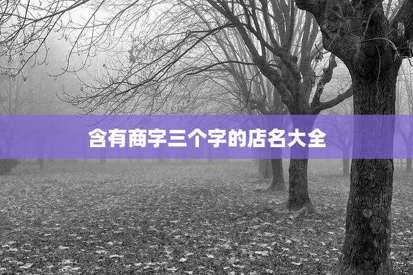含有商字三个字的店名大全