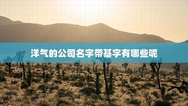 洋气的公司名字带基字有哪些呢