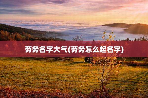 劳务名字大气(劳务怎么起名字)