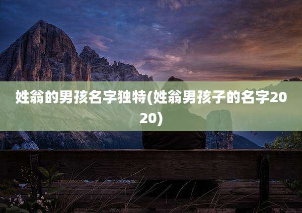 姓翁的男孩名字独特(姓翁男孩子的名字2020)