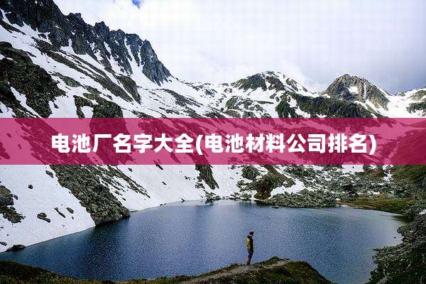 电池厂名字大全(电池材料公司排名)