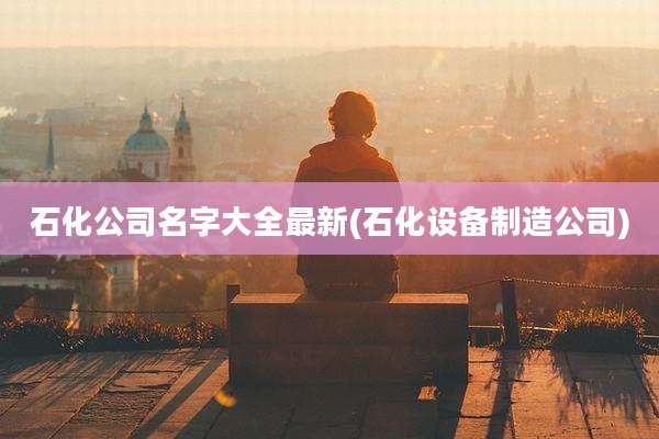 石化公司名字大全最新(石化设备制造公司)