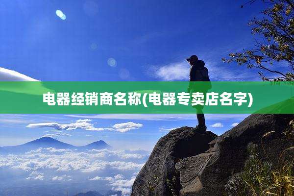 电器经销商名称(电器专卖店名字)