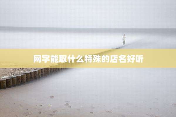 网字能取什么特殊的店名好听
