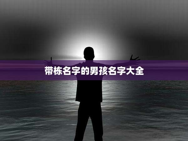 带栋名字的男孩名字大全