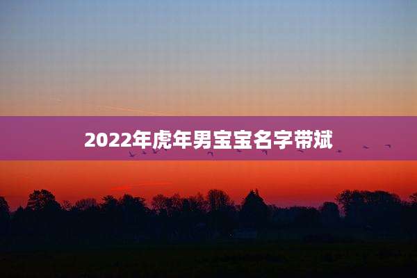 2022年虎年男宝宝名字带斌