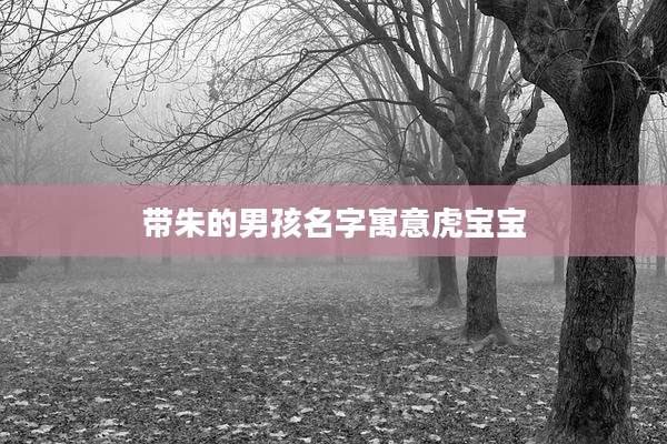 带朱的男孩名字寓意虎宝宝