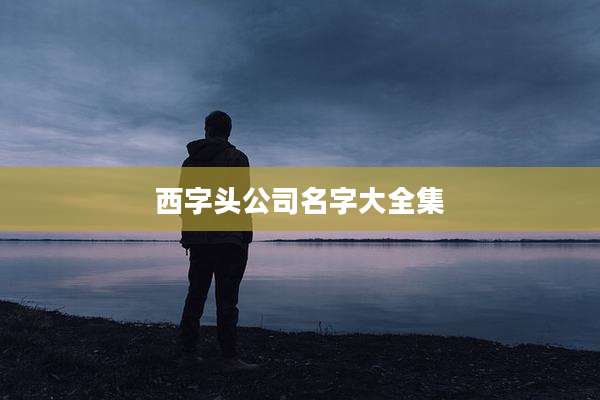 西字头公司名字大全集