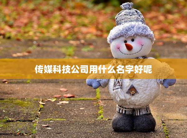 传媒科技公司用什么名字好呢