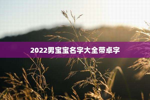 2022男宝宝名字大全带卓字