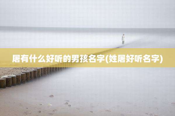 屠有什么好听的男孩名字(姓屠好听名字)