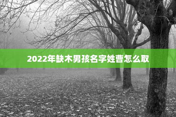2022年缺木男孩名字姓曹怎么取