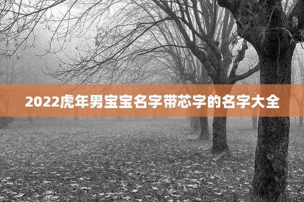 2022虎年男宝宝名字带芯字的名字大全
