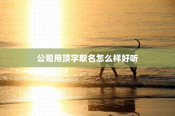 公司用顶字取名怎么样好听