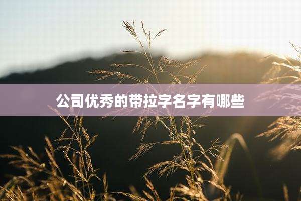 公司优秀的带拉字名字有哪些