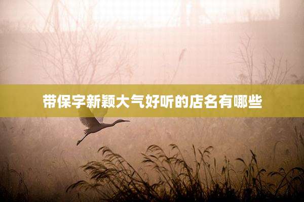 带保字新颖大气好听的店名有哪些