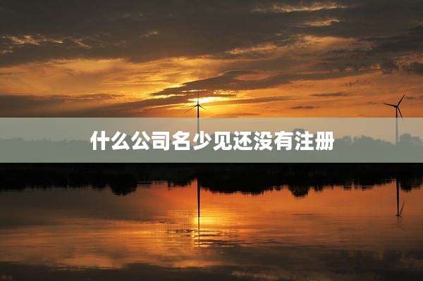 什么公司名少见还没有注册