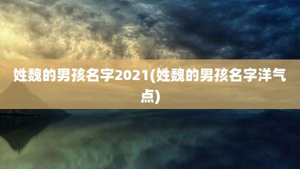 姓魏的男孩名字2021(姓魏的男孩名字洋气点)
