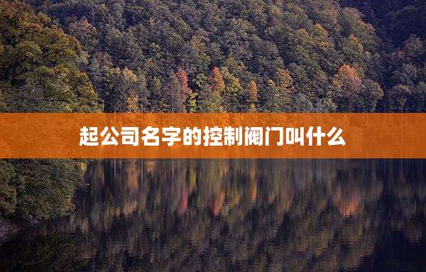 起公司名字的控制阀门叫什么
