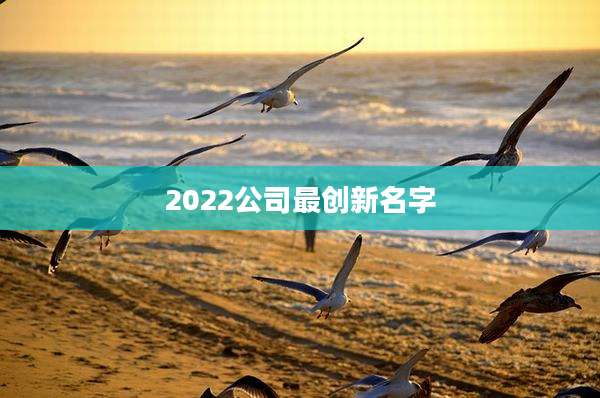 2022公司最创新名字