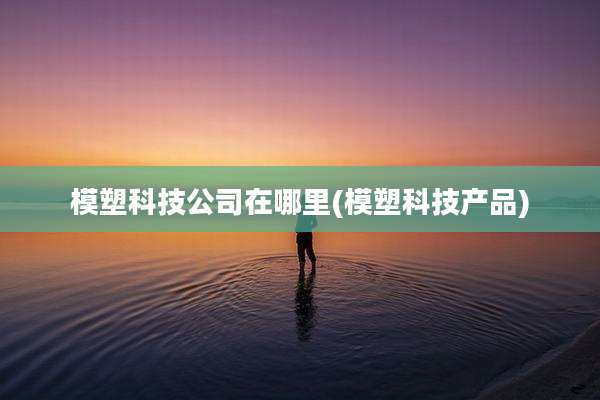 模塑科技公司在哪里(模塑科技产品)