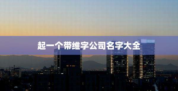 起一个带维字公司名字大全