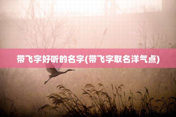 带飞字好听的名字(带飞字取名洋气点)
