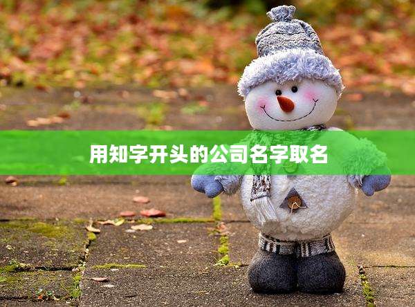 用知字开头的公司名字取名
