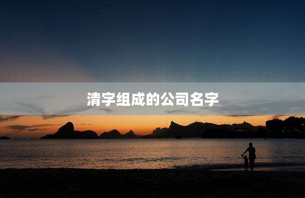 清字组成的公司名字