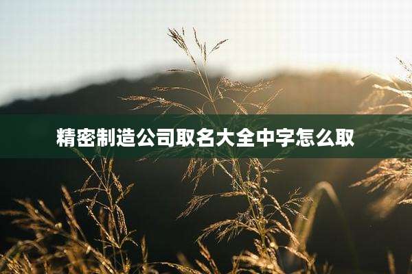 精密制造公司取名大全中字怎么取