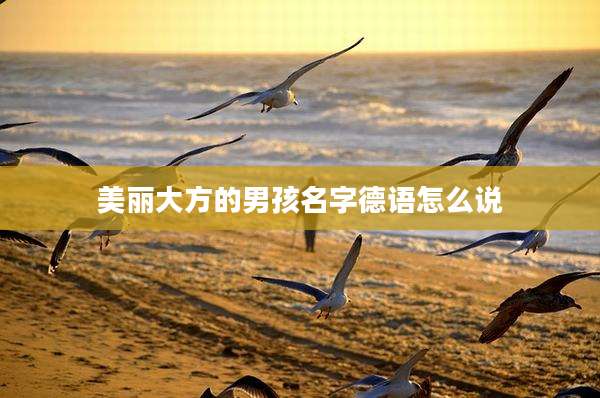 美丽大方的男孩名字德语怎么说
