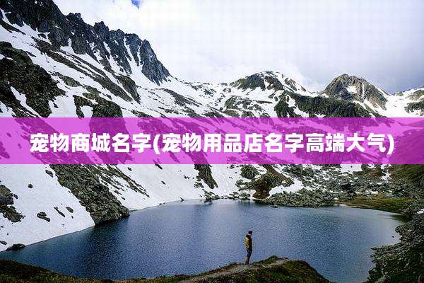 宠物商城名字(宠物用品店名字高端大气)