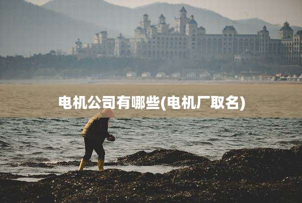 电机公司有哪些(电机厂取名)