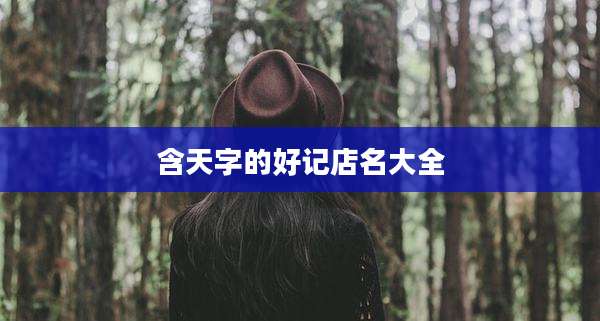含天字的好记店名大全