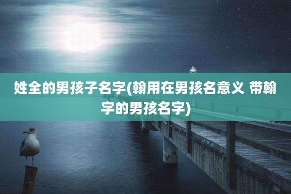 姓全的男孩子名字(翰用在男孩名意义 带翰字的男孩名字)