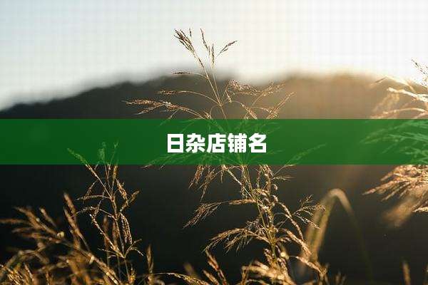 日杂店铺名