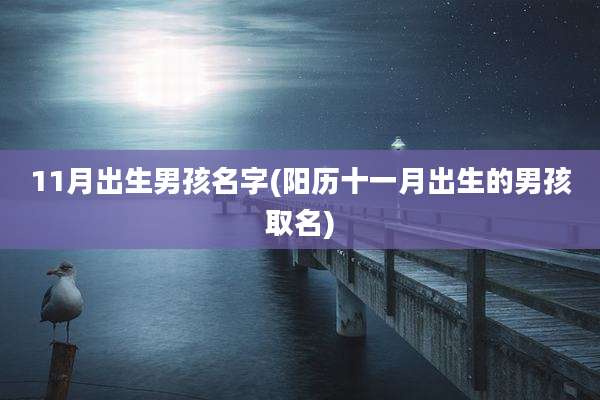 11月出生男孩名字(阳历十一月出生的男孩取名)