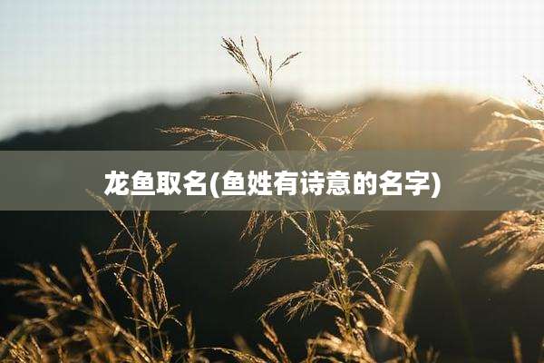 龙鱼取名(鱼姓有诗意的名字)