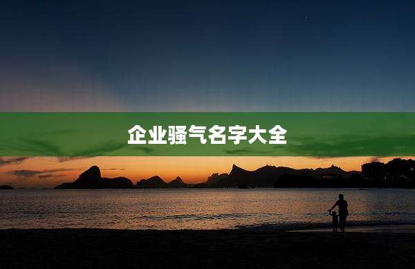 企业骚气名字大全