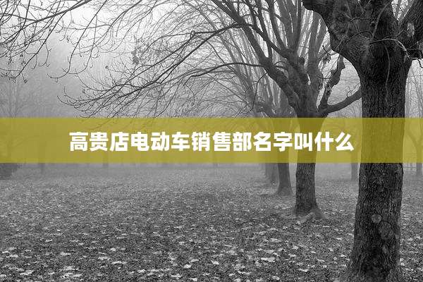 高贵店电动车销售部名字叫什么