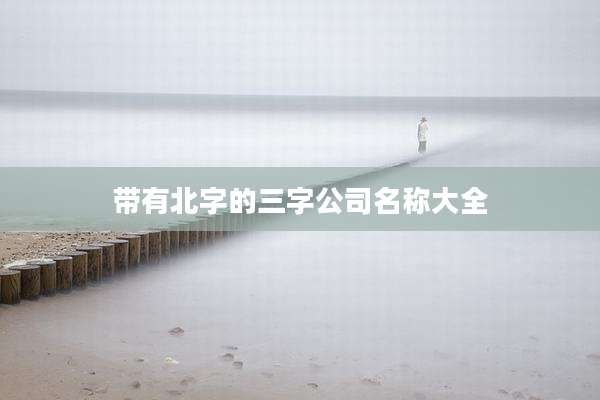 带有北字的三字公司名称大全