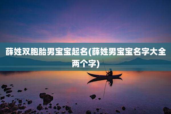 薛姓双胞胎男宝宝起名(薛姓男宝宝名字大全两个字)
