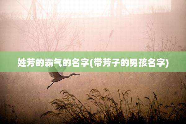 姓芳的霸气的名字(带芳子的男孩名字)