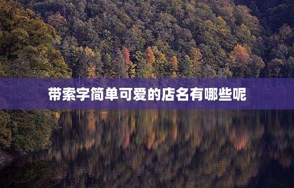 带索字简单可爱的店名有哪些呢