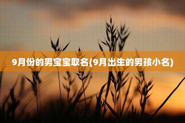 9月份的男宝宝取名(9月出生的男孩小名)