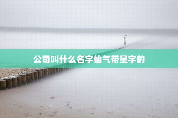 公司叫什么名字仙气带星字的